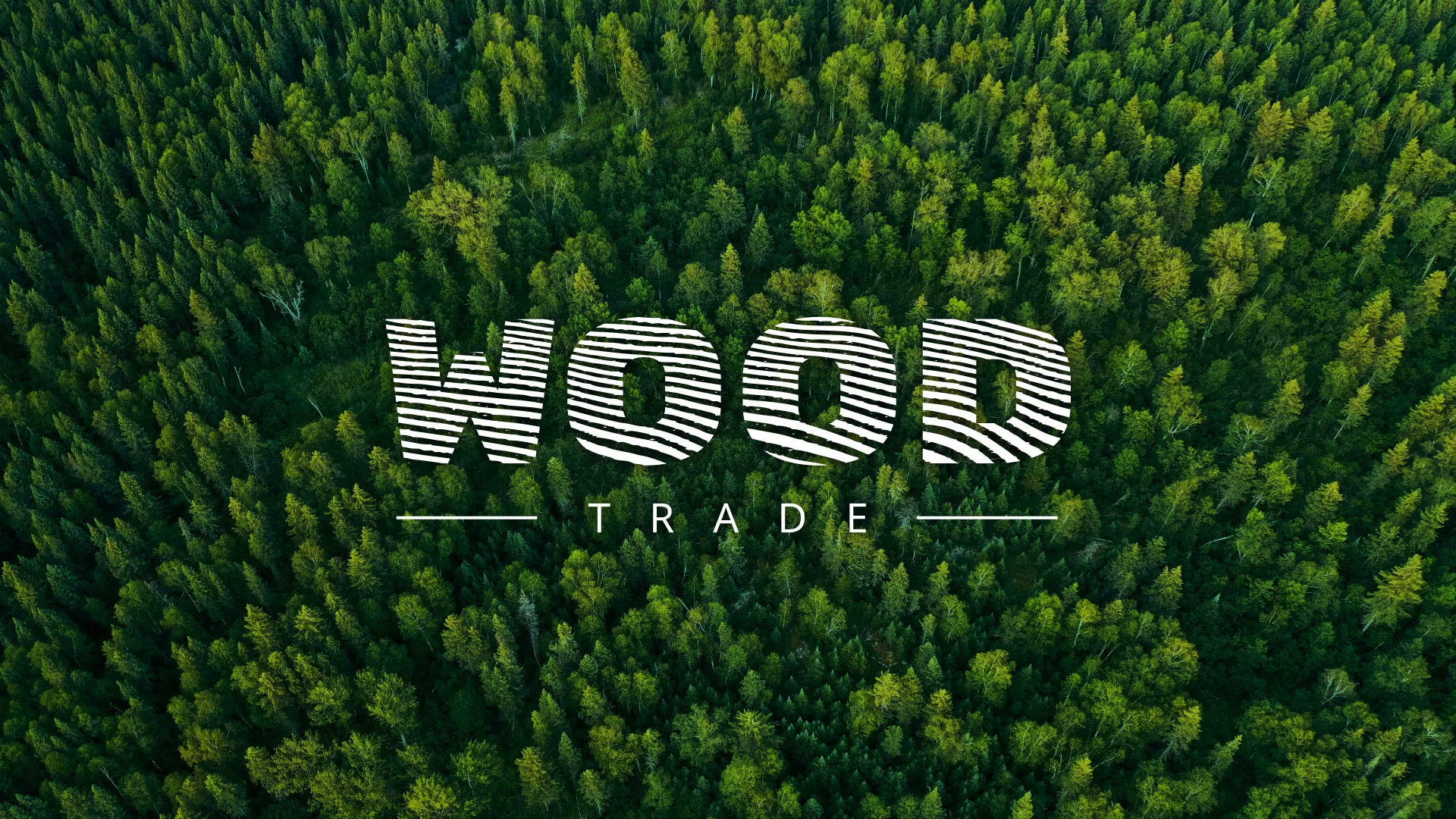 Разработка интернет-магазина компании «Wood Trade» в Пензе